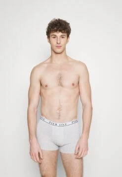 Pier One 5 PACK - Panty - Light Grey/black/green