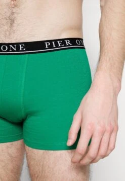 Pier One 5 PACK - Panty - Beige/green/bordeaux 11 Pier One 5 PACK - Panty - Beige/green/bordeaux -Pier One 9c29ff7443c148bf87a33eb890c88982