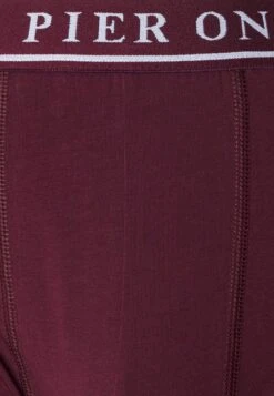 Pier One 5 PACK - Panty - Bordeaux/mottled Grey 9 Pier One 5 PACK - Panty - Bordeaux/mottled Grey -Pier One b2696f7c39ac483892c876a4b612aece