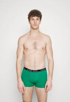 Pier One 5 PACK - Panty - Beige/green/bordeaux